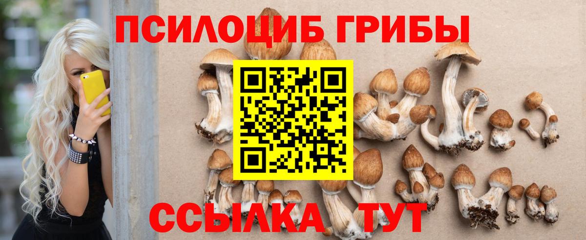 Псилоцибиновые грибы Magic Shrooms  Псилоцибиновые грибы MAGIC MUSHROOMS  Дюртюли  Вход с VPN 
